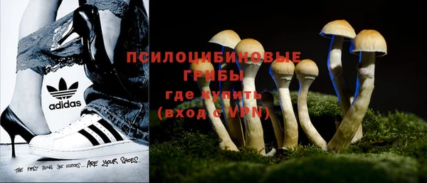 прущая мука Арсеньев